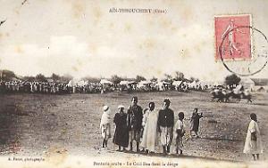 AIN TEMOUCHENT 216